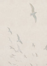 Load image into Gallery viewer, Ascend