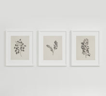 Load image into Gallery viewer, Botanical Study I.