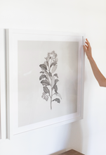 Load image into Gallery viewer, Botanical Study III.