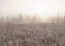 Load image into Gallery viewer, Warm Winter