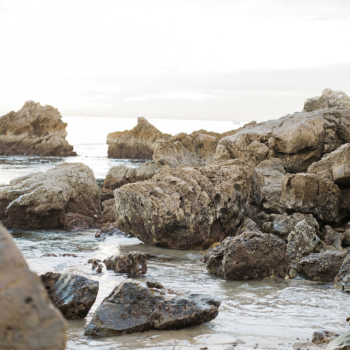 Beach Rock