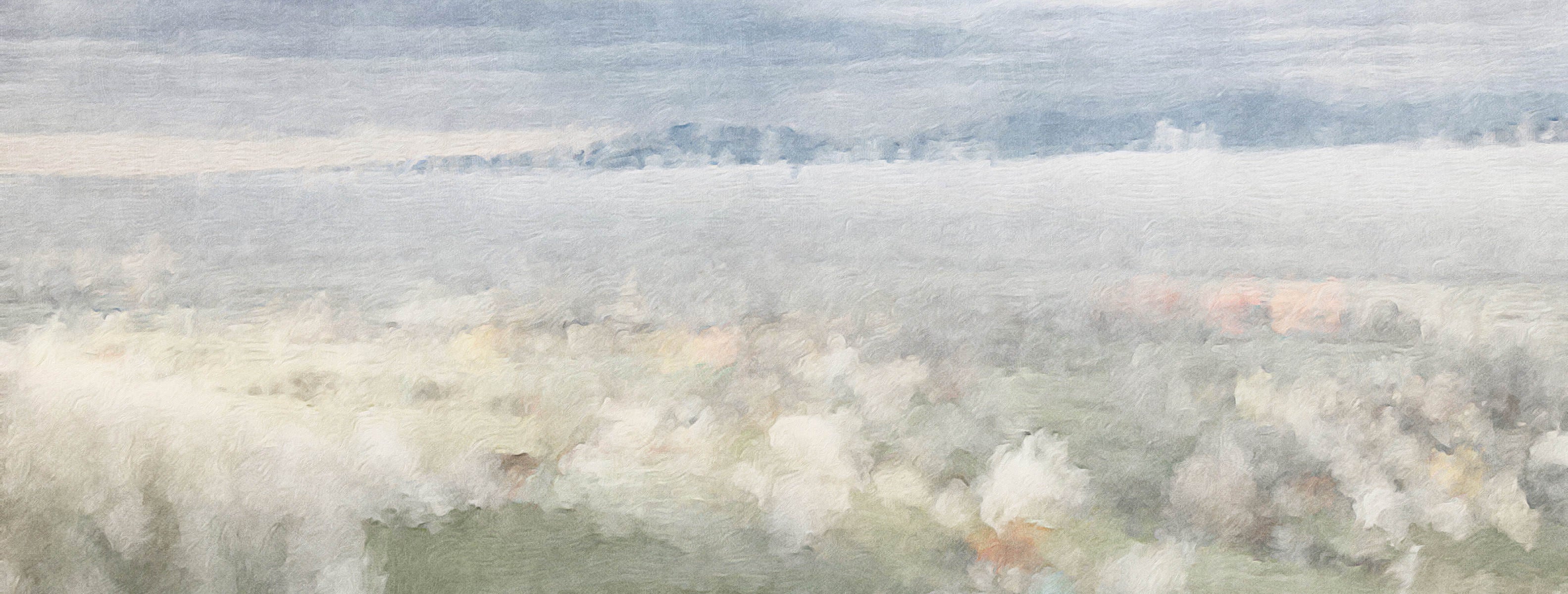 Coastal Valley