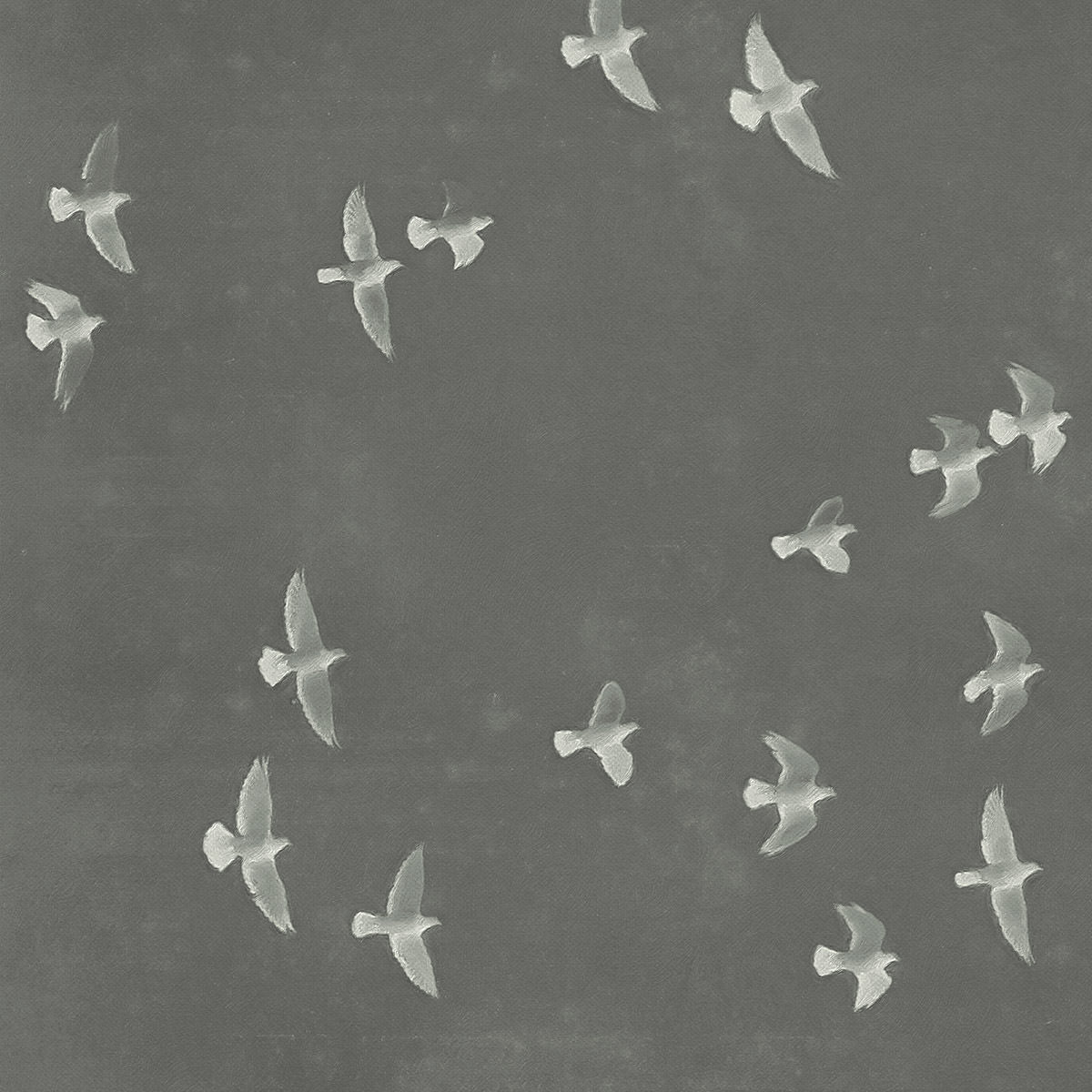 Flock I.