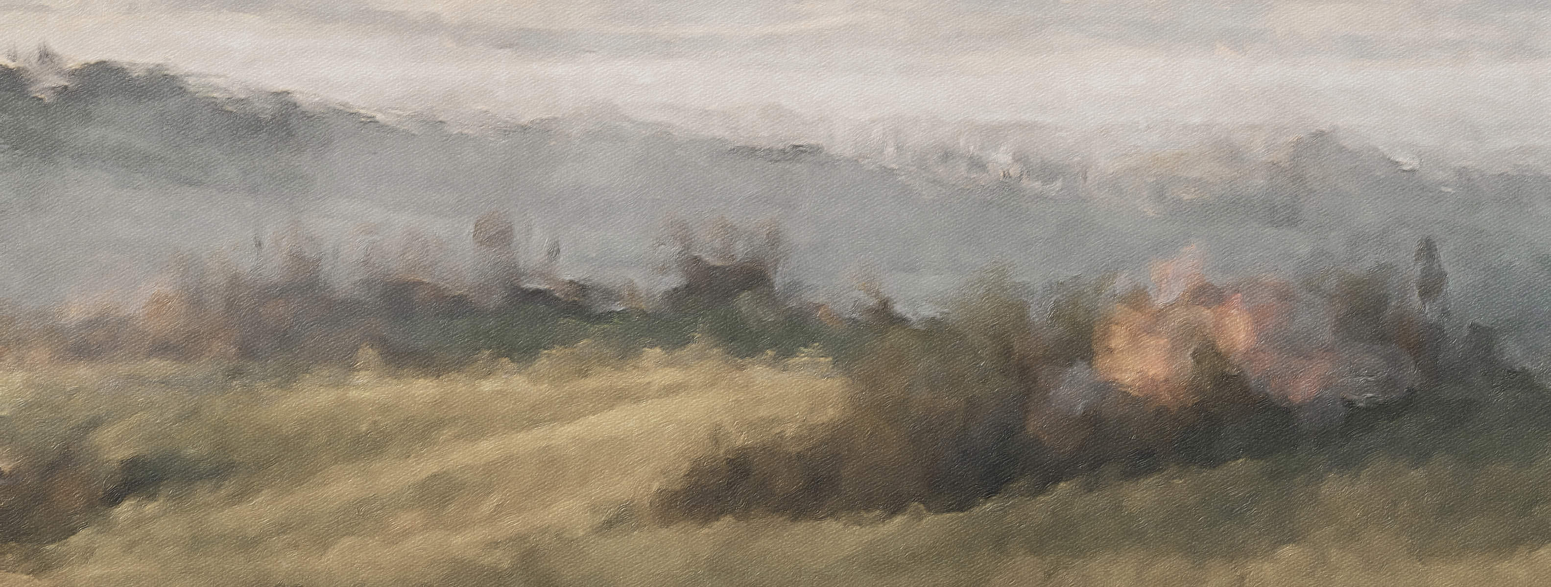 Marine Layer