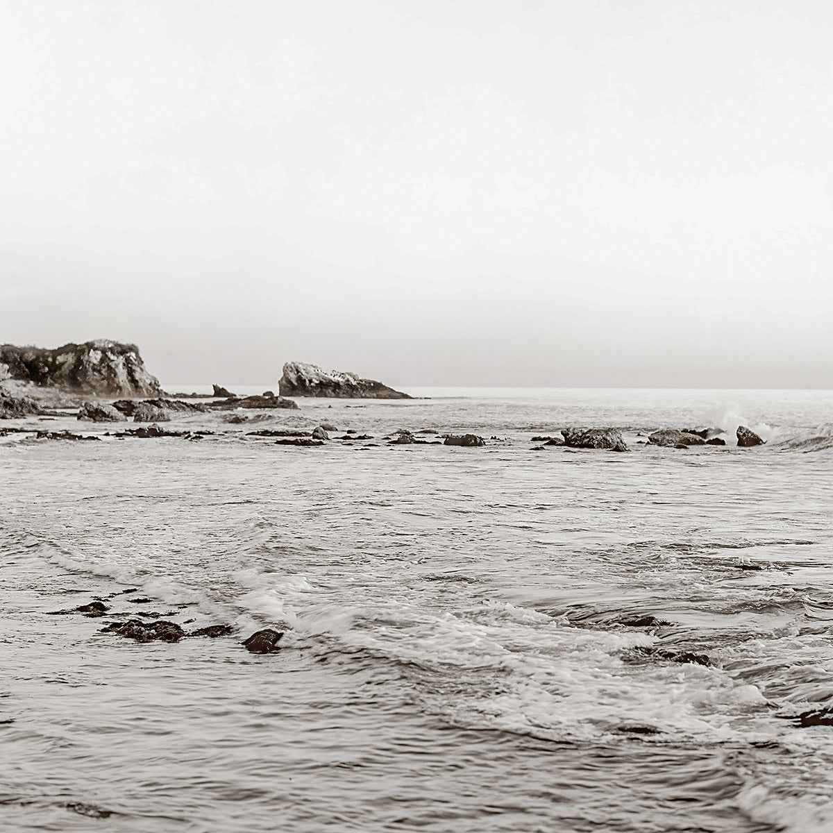Sepia Tides
