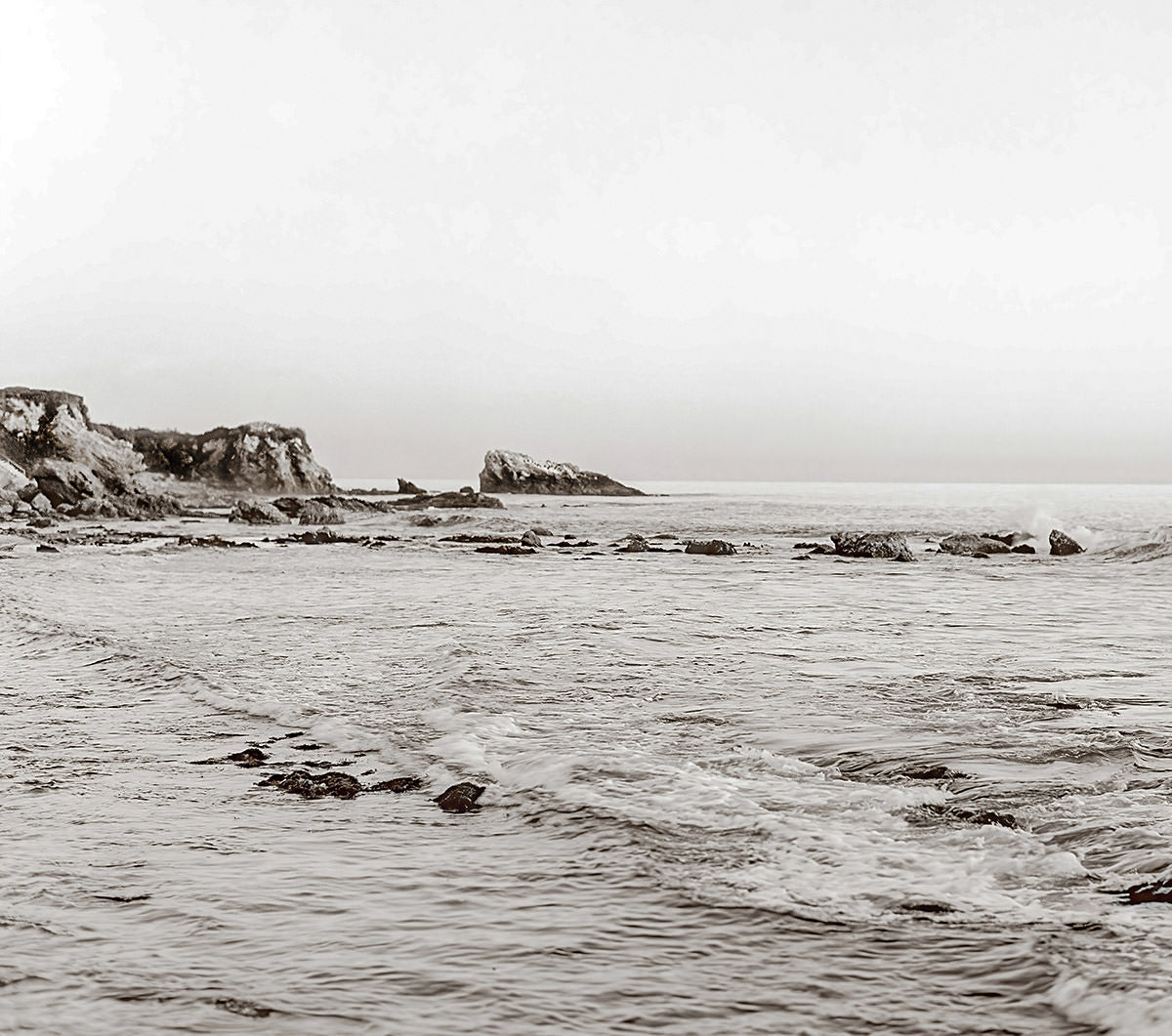 Sepia Tides