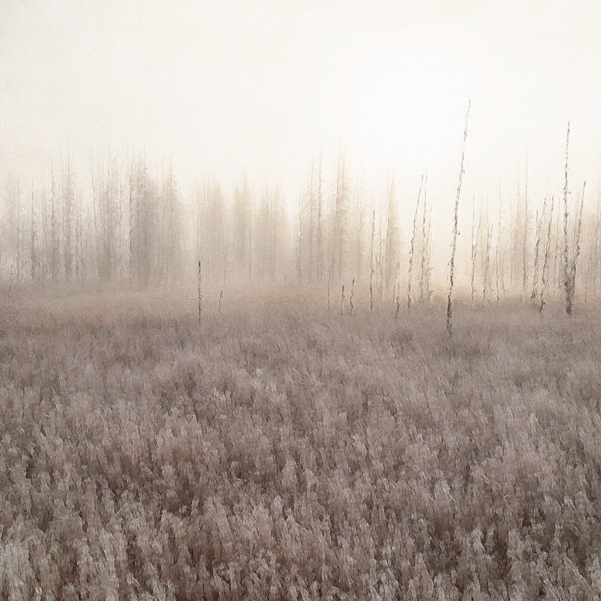 Warm Winter