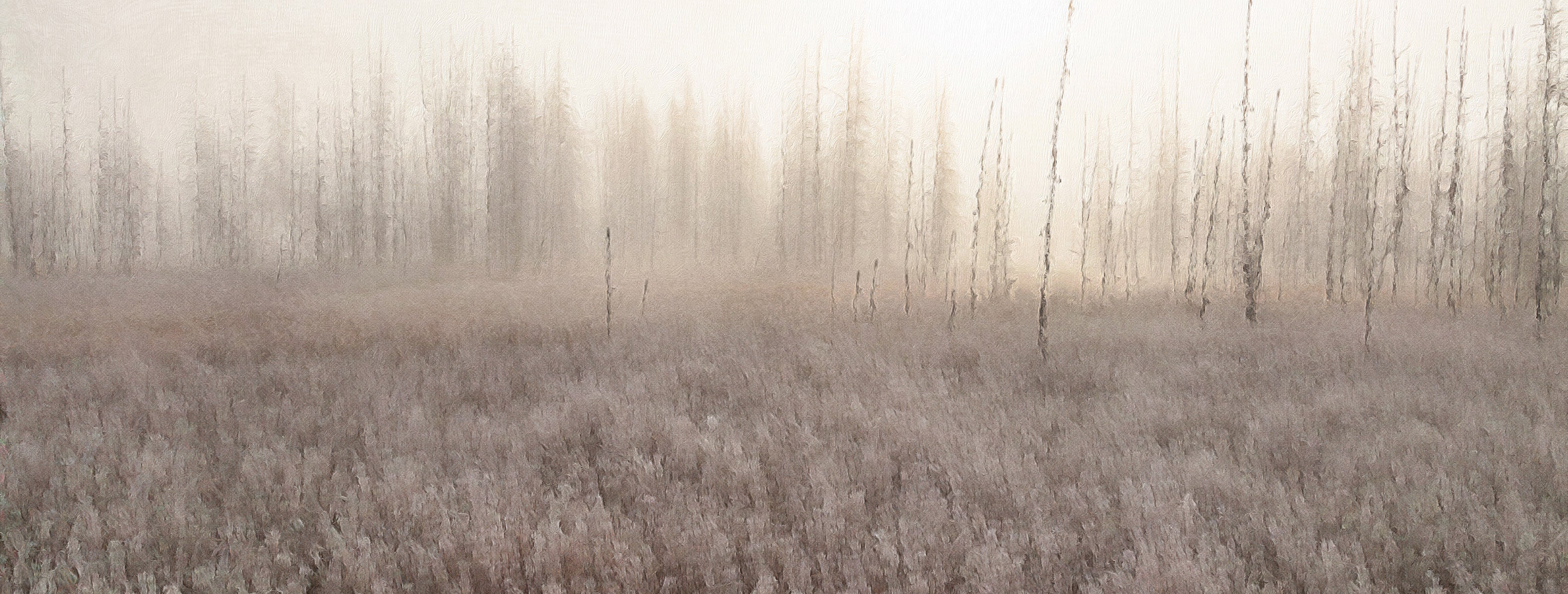 Warm Winter
