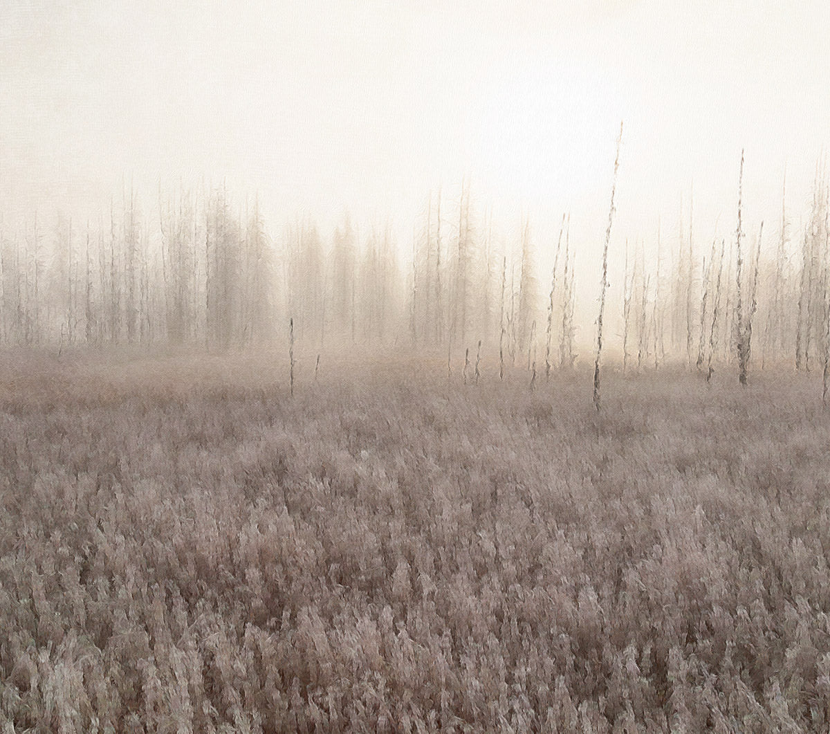 Warm Winter