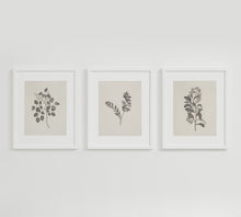 Load image into Gallery viewer, Botanical Study III.
